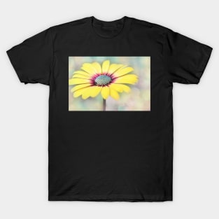 Autumn Blue Eye T-Shirt